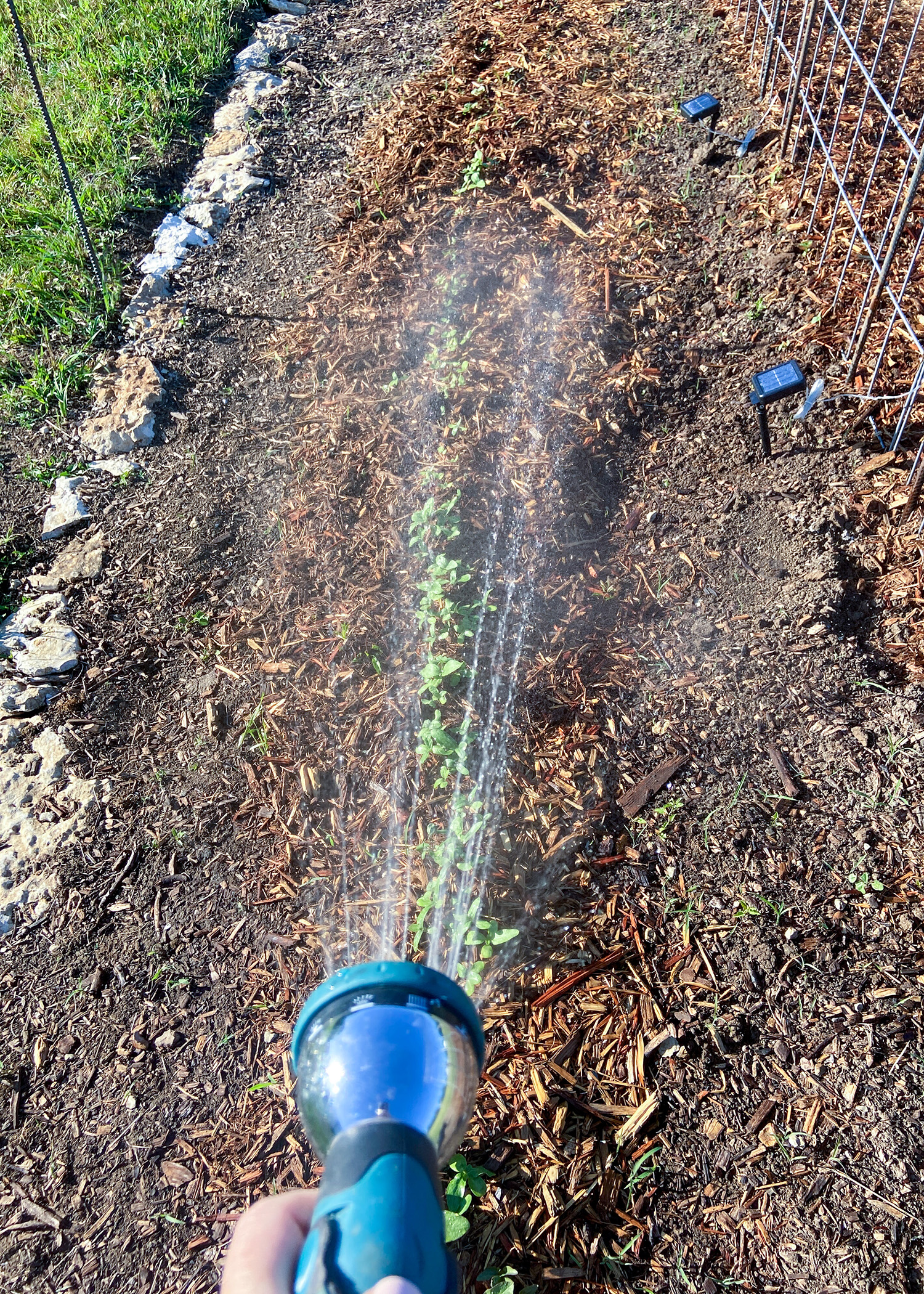 Barn Rainwater Collection Watering Garden