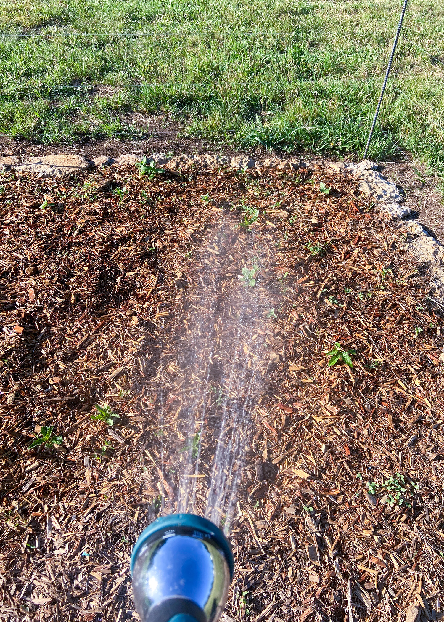 Barn Rainwater Collection Watering System