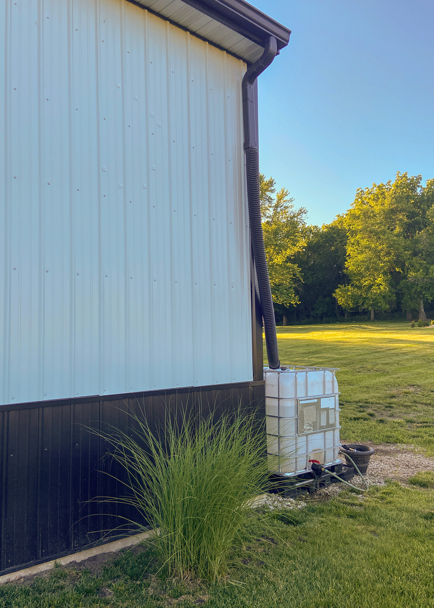 Barn Rainwater Collection