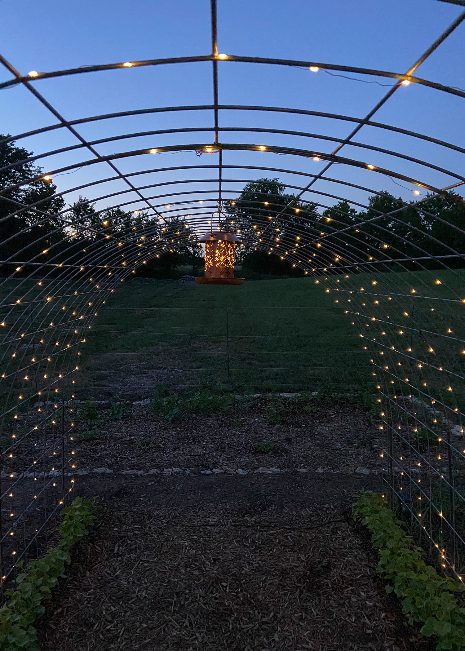 Pumpkin Patch Solar BIrd Feeder