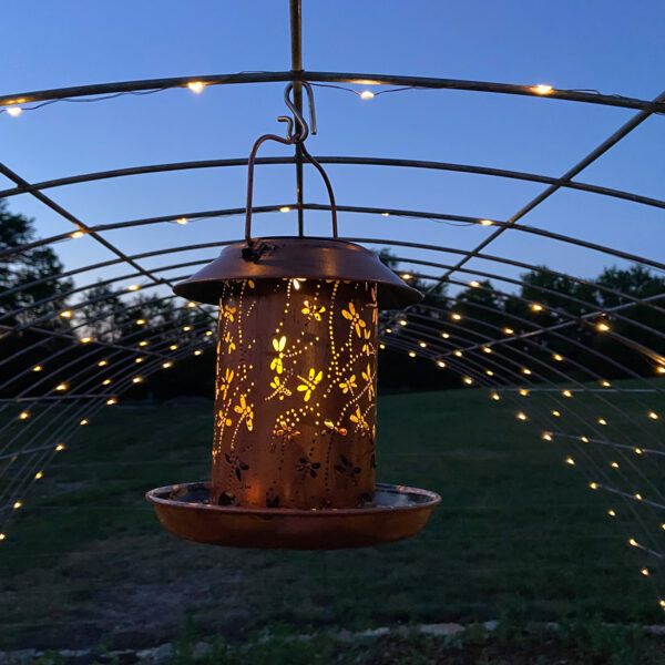 Solar BIrd Feeder