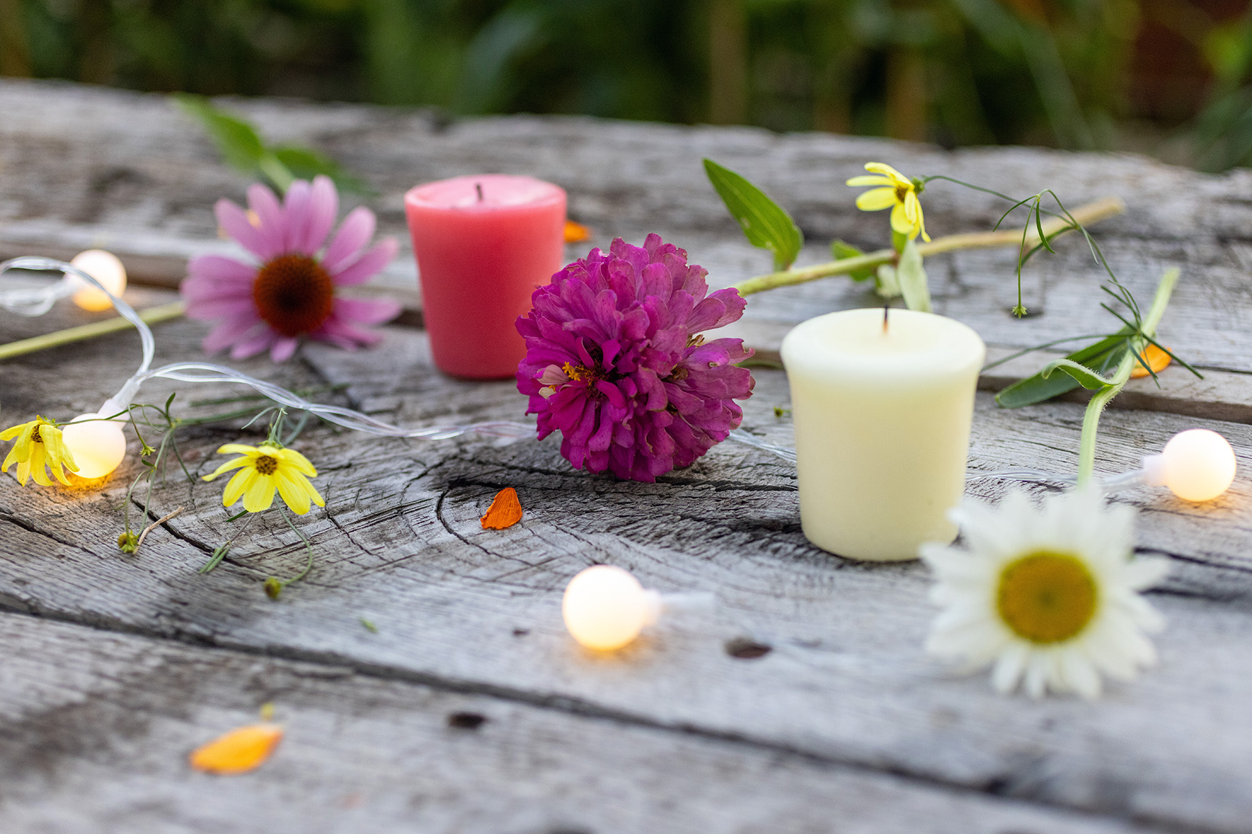 Garden Flowers