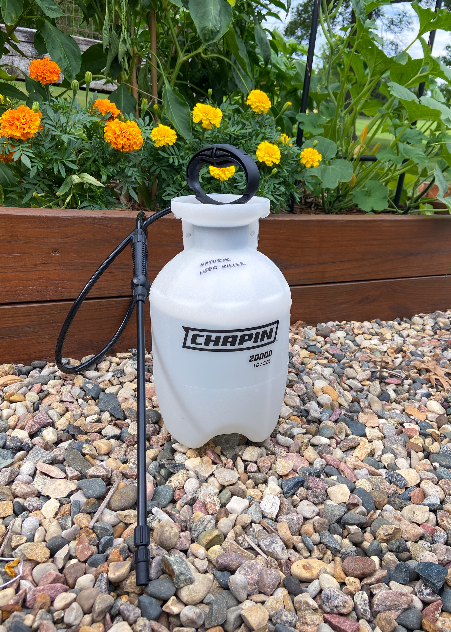 Homemade Weed Killer