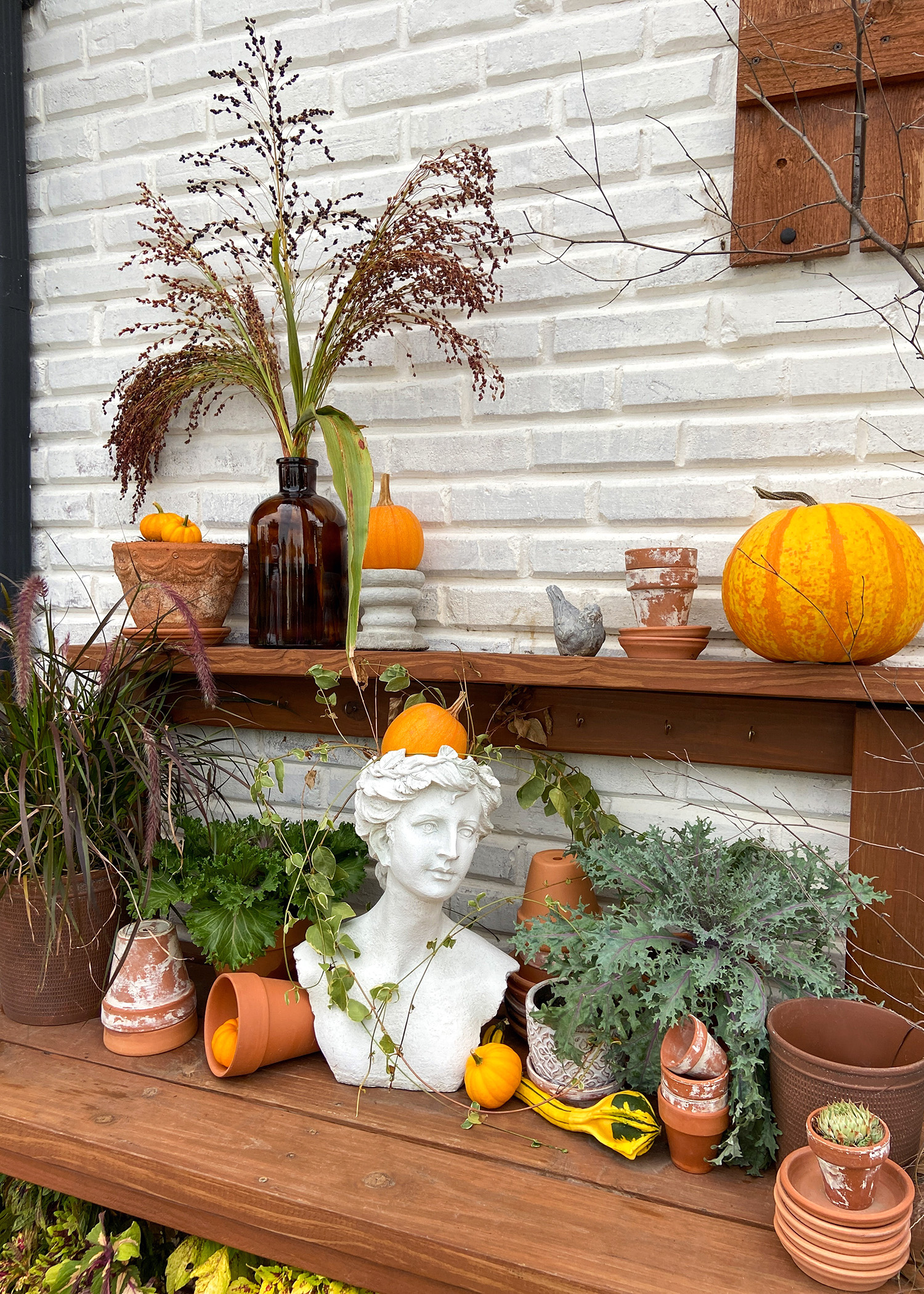 Autumn Potting Bench 2024