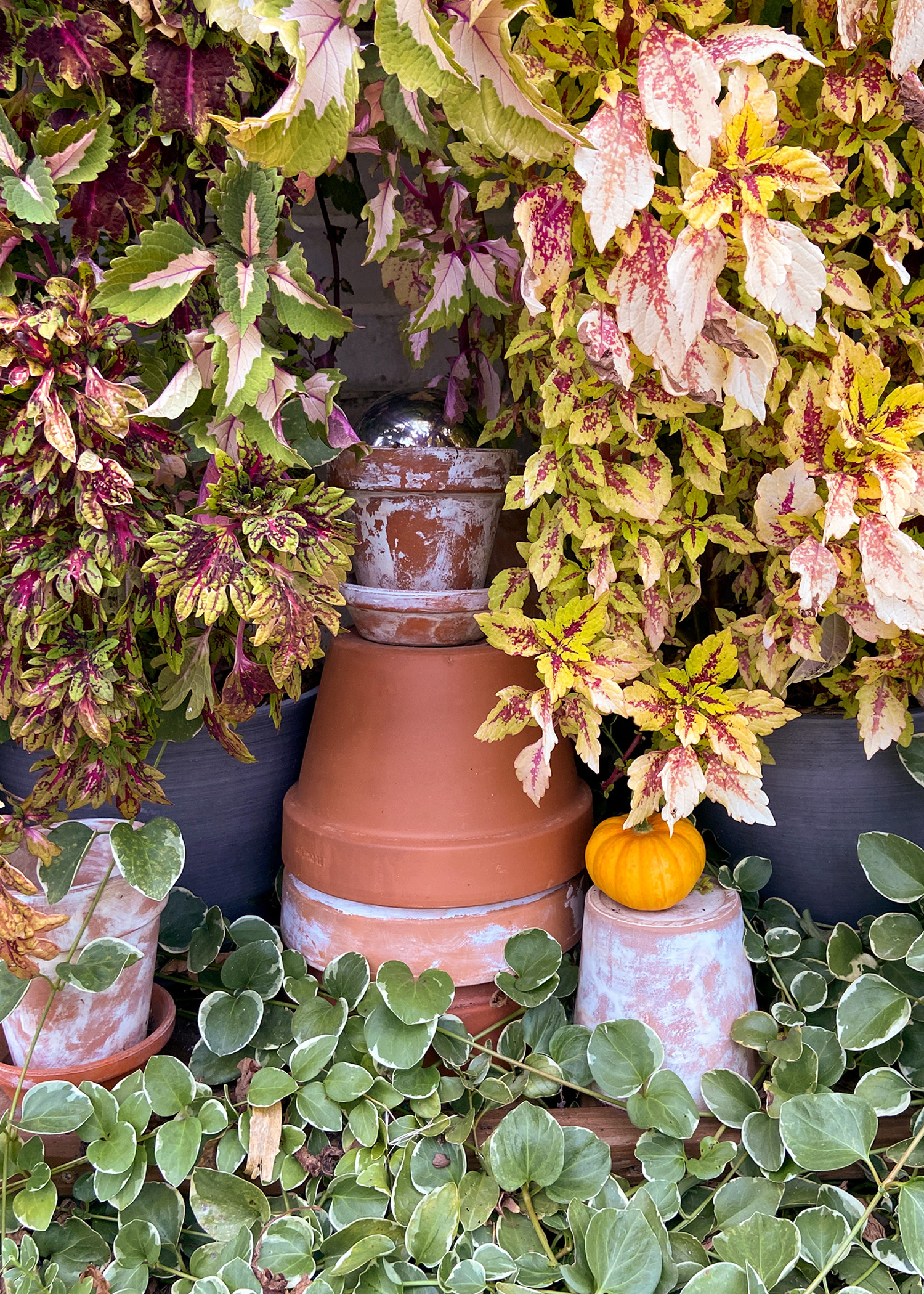 Potting Bench Fall